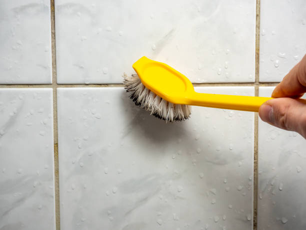 Mold Removal Process in Fontana, CA