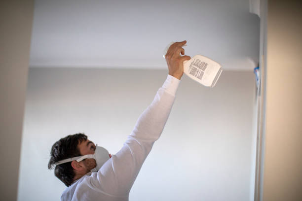 Best Commercial Mold Removal  in Fontana, CA
