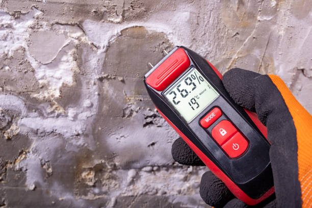 Best Best Mold Removal Companies  in Fontana, CA