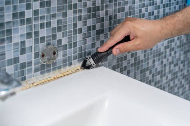 Best Mold Cleaning Services  in Fontana, CA